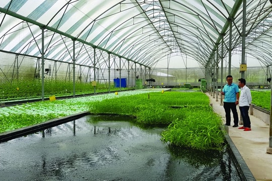 Mô hình kinh doanh tuần hoàn cho startup