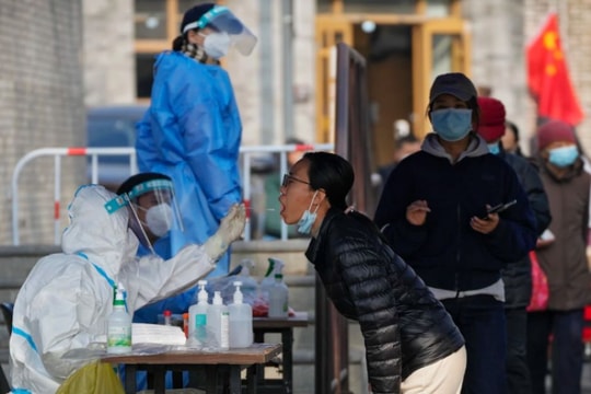 Nhịp sống thế giới từ ngày 7- 13/11