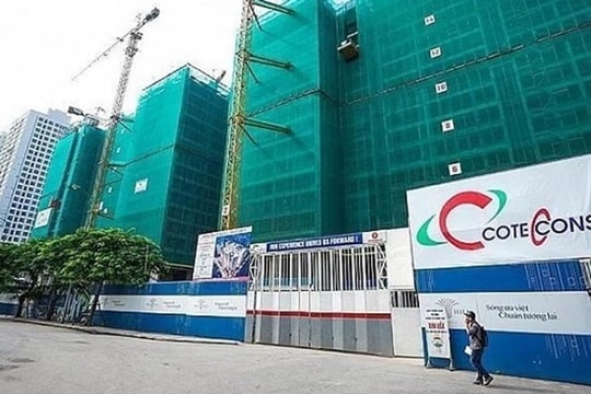 Đa dạng chiến lược kinh doanh có làm CTD thoát lỗ?