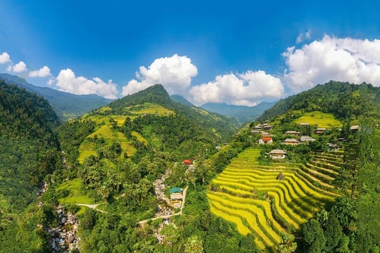 Mùa vàng bình yên trên đỉnh Cao Bồ