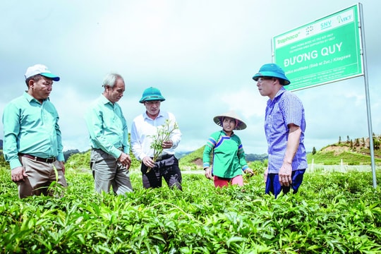 Traphaco thiết lập  chuỗi giá trị xanh