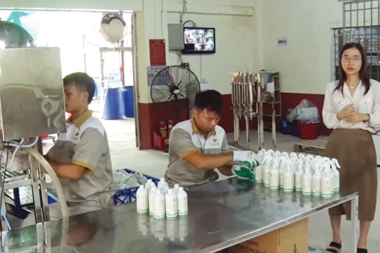 Cơ hội để chuyển đổi kinh doanh tuần hoàn