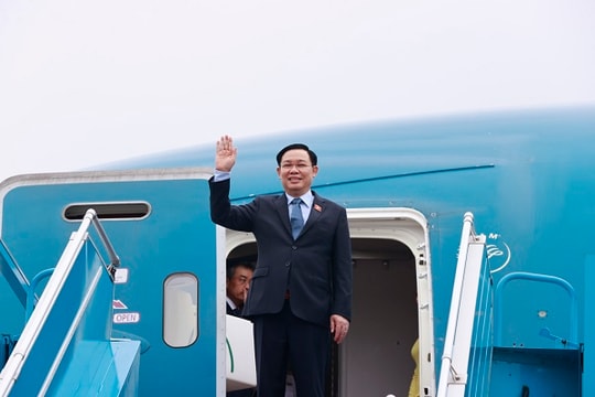 Australia và New Zealand rất coi trọng mối quan hệ với Việt Nam