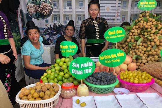 Bảo hộ sở hữu trí tuệ sản phẩm OCOP - Bài 1: "Sai một ly, đi một dặm"