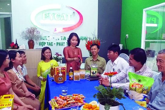 Bảo hộ sở hữu trí tuệ sản phẩm OCOP - Bài 2: Đừng để “mất bò mới lo làm chuồng”