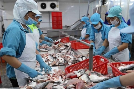 Hỗ trợ doanh nghiệp tận dụng các FTA