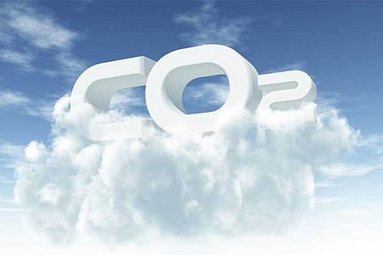 Vai trò thiết yếu của thị trường các-bon tự nguyện