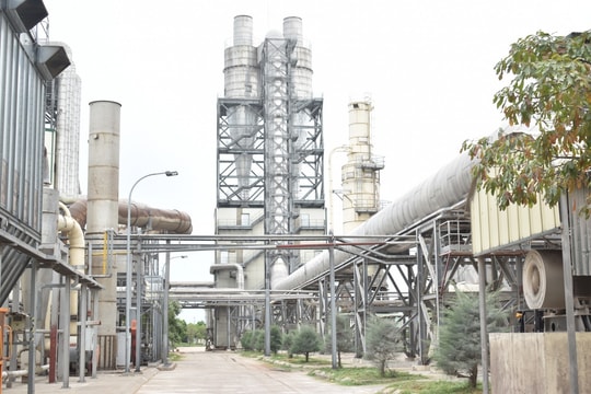 Gỗ MDF Quảng Trị - chất lượng làm nên thương hiệu