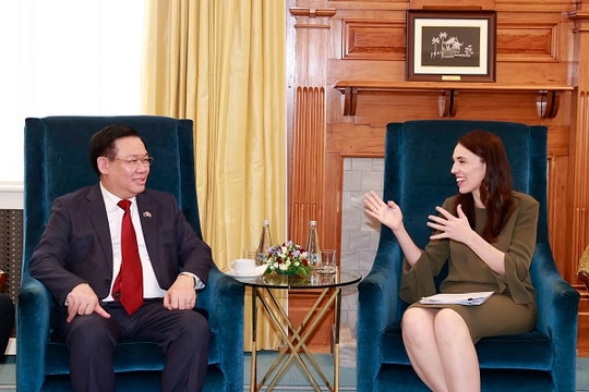 Còn nhiều dư địa cho mối quan hệ Việt Nam - New Zealand