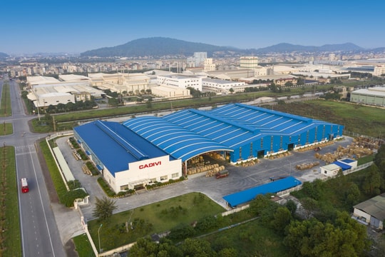 Khối ngoại mua vào cổ phiếu GEX nhờ triển vọng kinh doanh cốt lõi