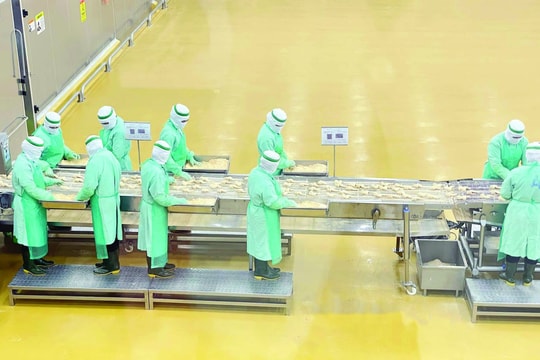 Bình Phước nâng cao  chất lượng nguồn nhân lực