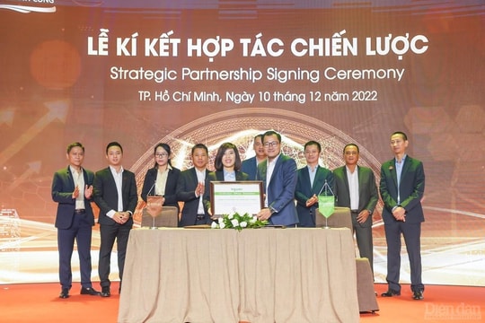 Đức Tường Group và Schneider Electric: “Sát cánh” chặng đường tương lai