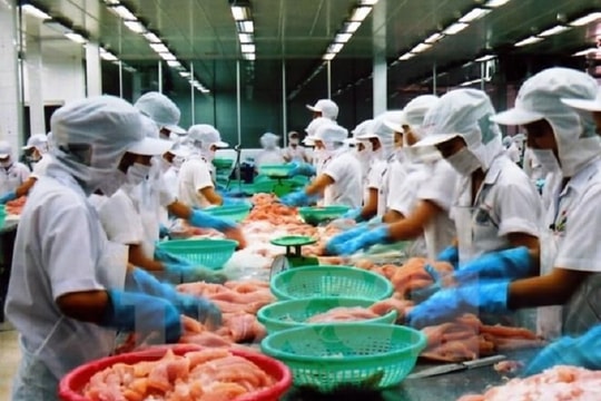 VHC “đứt mạch” tăng trưởng