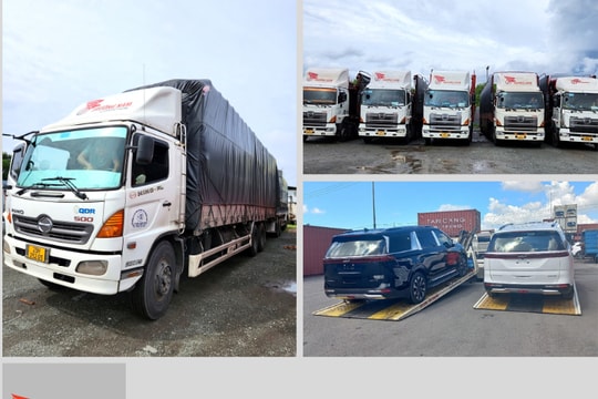 Trường Nam Logistics giải bài toán vận chuyển cho doanh nghiệp trong thời điểm "nhạy cảm"