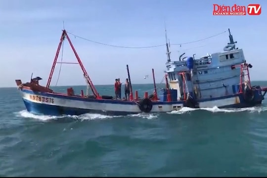 Liên tiếp bắt giữ tàu biển chở hàng nghìn lít dầu DO không rõ nguồn gốc
