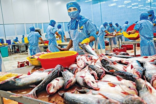 Ngành thủy sản sẽ gặp nhiều khó khăn, thách thức trong năm 2023?