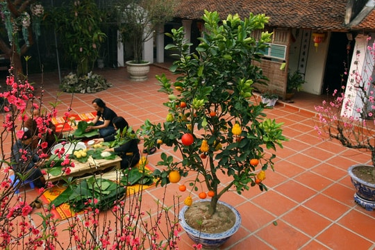 [CẢM XÚC XUÂN] Lại thêm một mùa Xuân nữa xa nhà