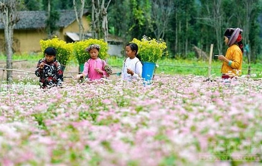 Hà Giang khác biệt trong các giải pháp cho du lịch 2023