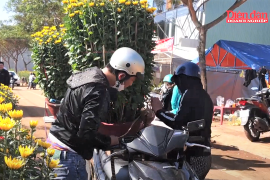 Đa dạng hoa xuân ở phố núi Gia Lai