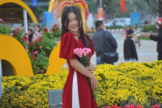 Đà Nẵng: Đường hoa xuân 17 tỷ "hút" khách du lịch đến "check-in"