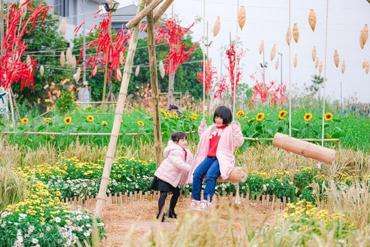 Trải nghiệm “Vũ trụ Tết diệu kỳ” tại đường hoa Home Hanoi Xuan 2023