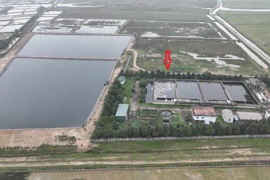 Nghệ An: Nhà máy xử lý nước thải xả thải trực tiếp ra môi trường?
