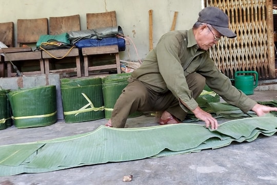 Làm giàu thành công từ cây chuối rừng trên mảnh đất “khô cằn sỏi đá”