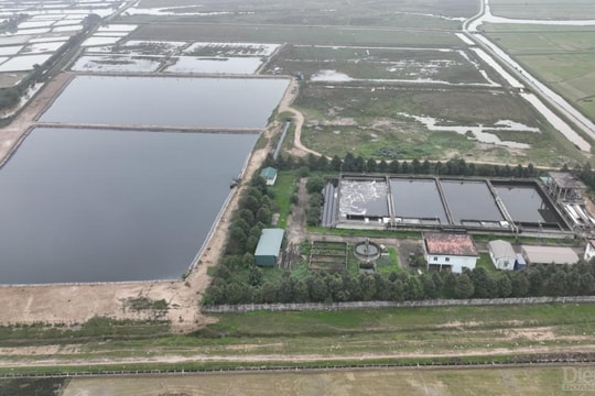 Sự cố nhà máy xử lý nước thải tập trung ở TP Vinh: Liệu còn tái diễn?