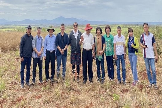 Cây đậu đỏ Gia Lai và cơ hội xuất ngoại