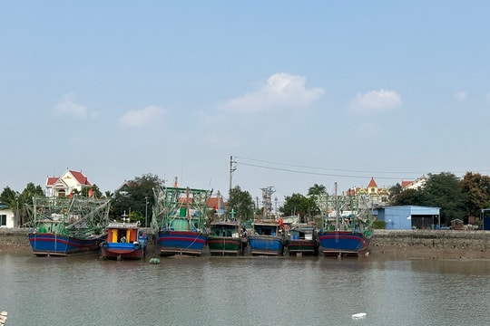 Hải Phòng: Nâng cấp hạ tầng cảng cá để phát triển kinh tế biển