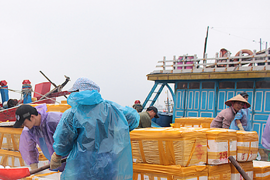 Nam Định: Tăng cường bảo vệ an toàn vệ sinh thực phẩm thủy sản