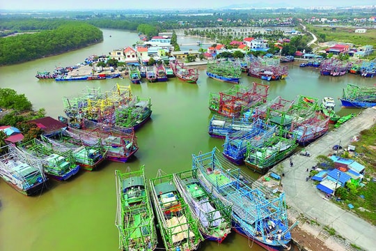 Tàu nằm “phơi lưới”  vì thiếu thuyền viên