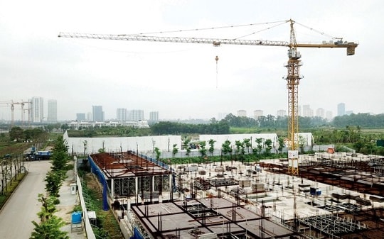 Đấu thầu trực tuyến bất cập, vì sao?