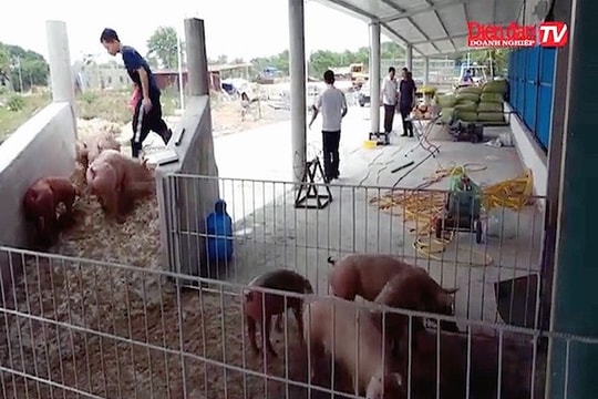 Di dời hơn 3000 hộ chăn nuôi tại Đồng Nai: Cần lộ trình và chính sách cụ thể