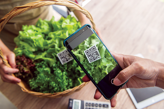 Ước mơ chuỗi cung ứng ngắn của Việt Nam: Kinh nghiệm từ thế giới