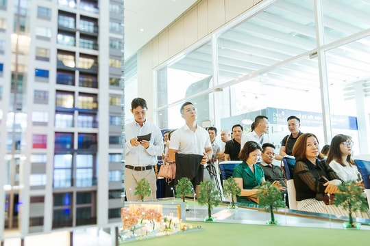 Tích hợp phương án chung cư sở hữu có thời hạn