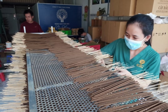 Khởi nghiệp thành công từ “sản xuất xanh”