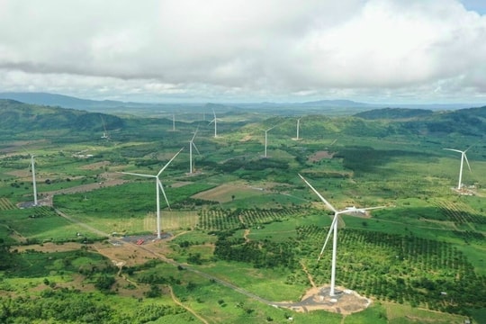 Vì sao các doanh nghiệp năng lượng tái tạo kêu cứu Thủ tướng?