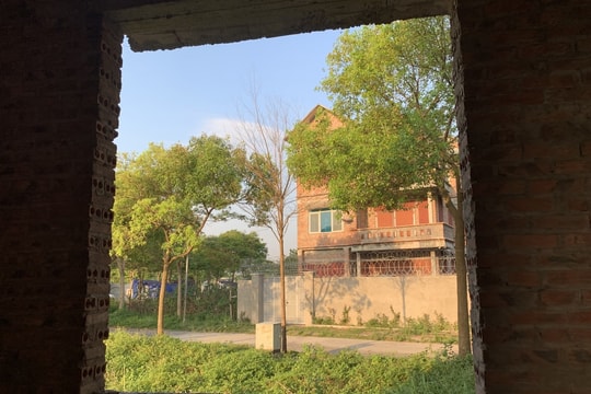 La liệt biệt thự bỏ hoang tại Mê Linh