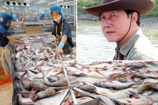 Khó khăn “bủa vây” HVG