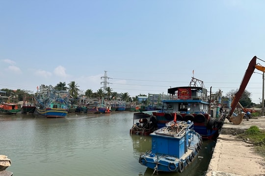 Thái Bình: Dồn lực gỡ “thẻ vàng” IUU