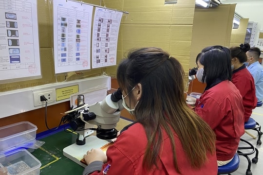 Hải Phòng: Tháo gỡ khó khăn cho các doanh nghiệp tại khu công nghiệp VSIP