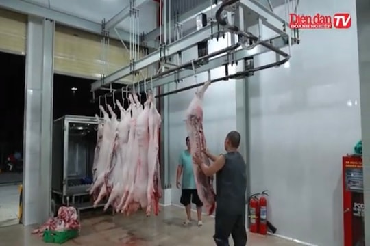 TP.HCM: Siết chặt các nhà máy giết mổ thủ công từ 1/4