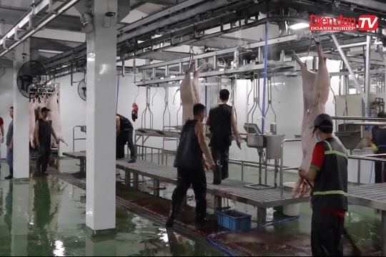 Siết các cơ sở giết mổ thủ công: Cần đồng bộ thiết bị và công nghệ?