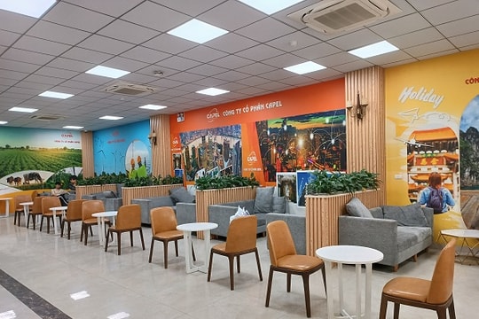 Lật tẩy chiêu trò “gọi vốn” của Công ty Capel – Bài 3: “Vỡ mộng” làm giàu