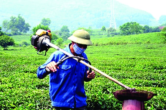 Phát triển sáng chế xanh tại ASEAN