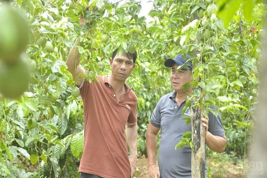 Kinh doanh bằng tâm, nông nghiệp trả công