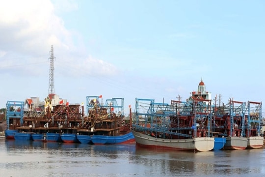 Nam Định: Các giải pháp cấp bách chống khai thác hải sản trái phép