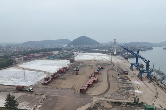Doanh nghiệp “nóng ruột” với chính sách hỗ trợ tàu container qua cảng biển Nghệ An