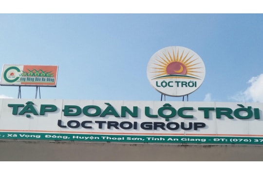 Nghịch lý của Lộc Trời Group: Doanh thu tăng, vẫn báo lỗ